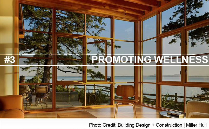 Promoting Wellness Header Image