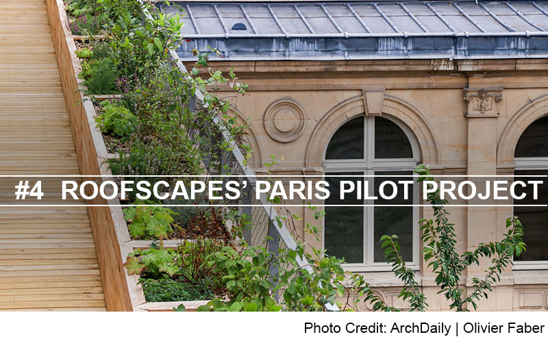 Roofscapes Paris Project Header Image