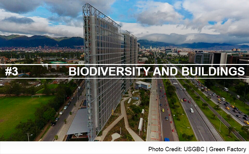 Biodiversity and Buildings Header Image
