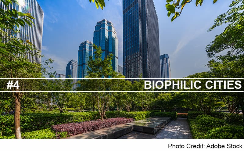 Biophilic Cities Header Image