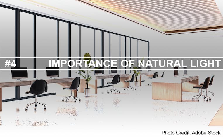 Importance of Natural Light Header Image